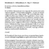 Via Lucis - Image 2