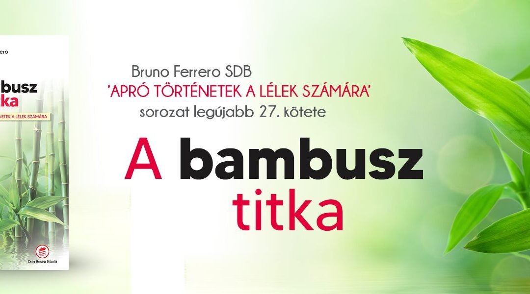 A bambusz titka