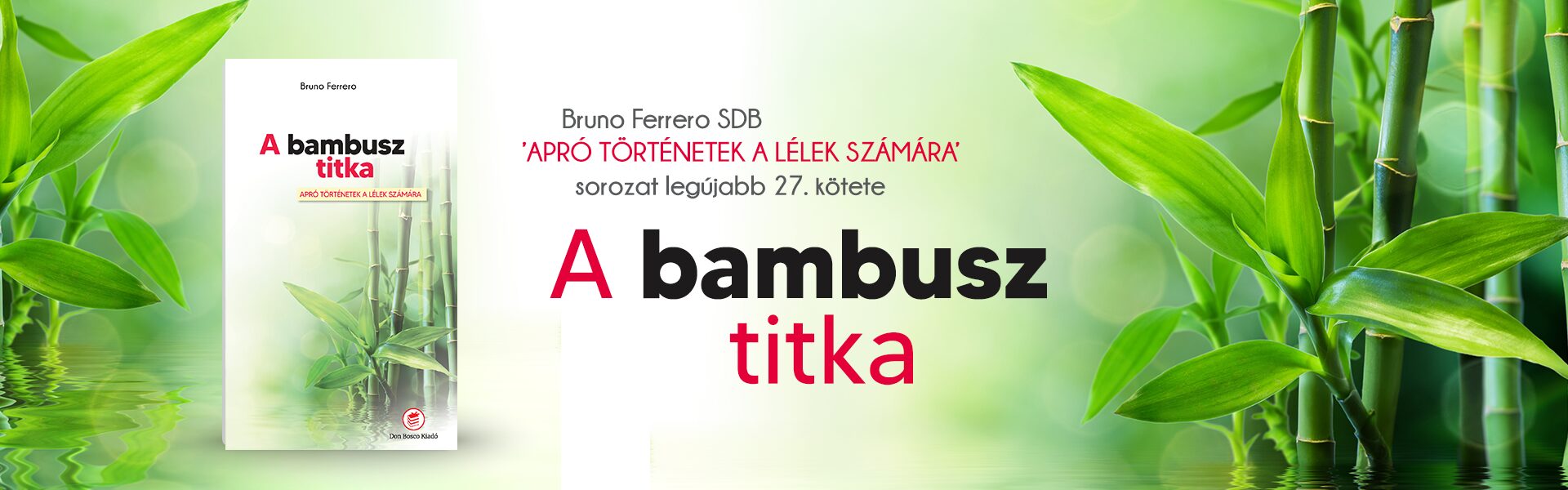 A bambusz titka slide