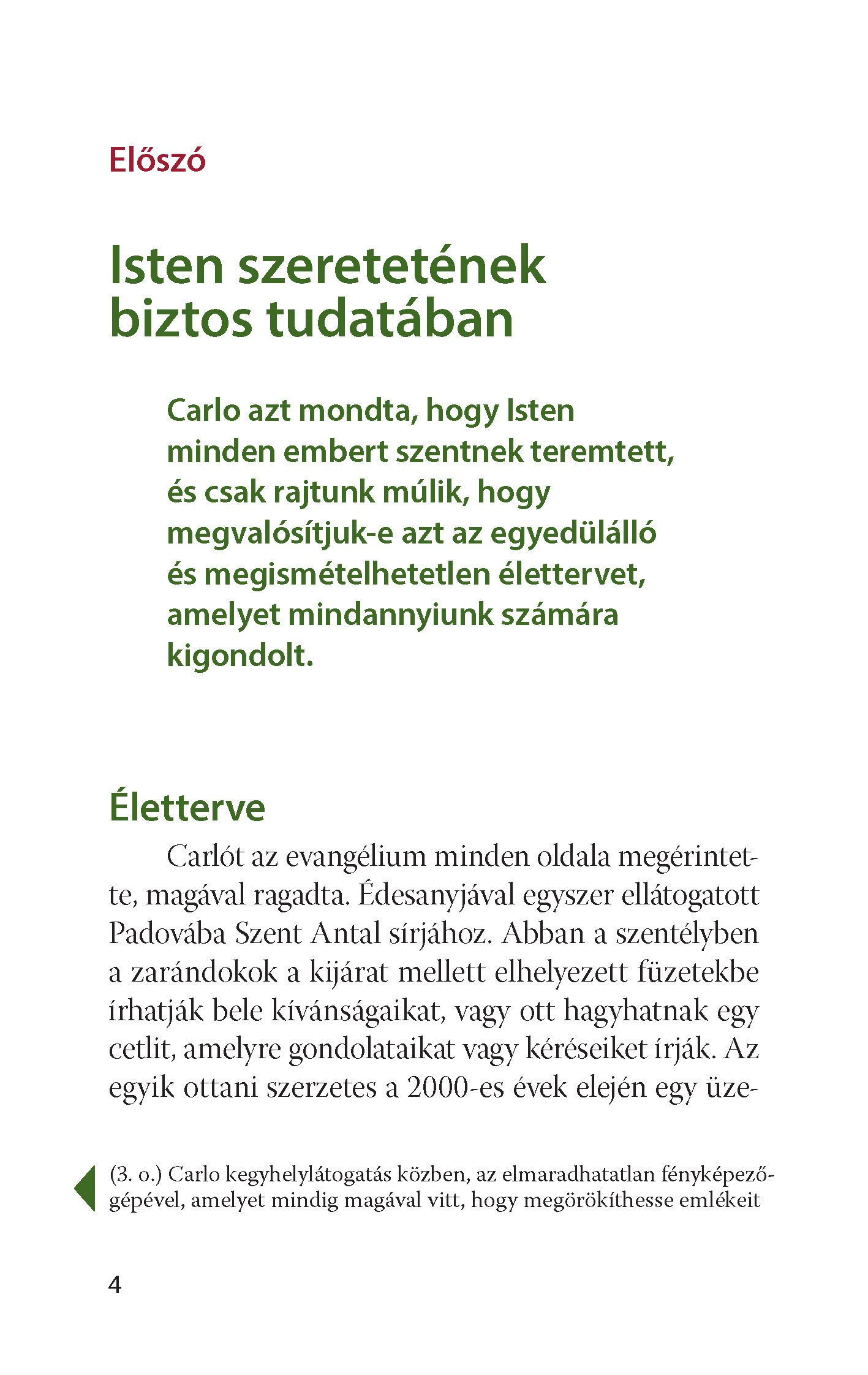 Szent Carlo Acutis - 15 év online Istennel - Image 3